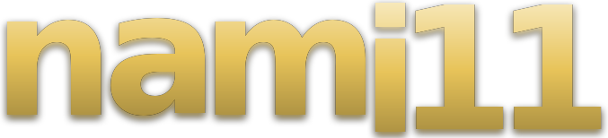 nami11 logo